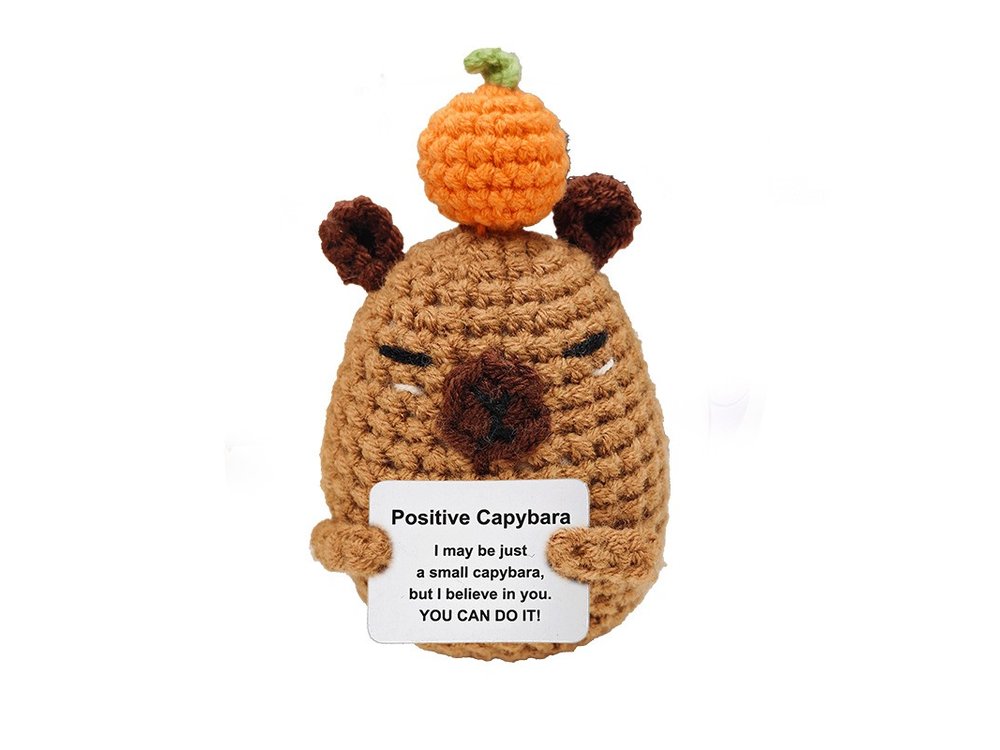 Finished crochet capybara from the beginner kit
