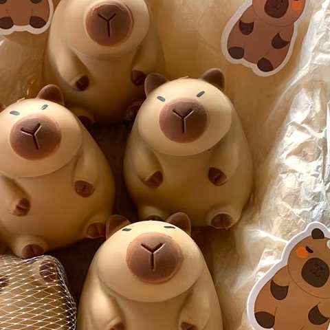 Capybara squishy
