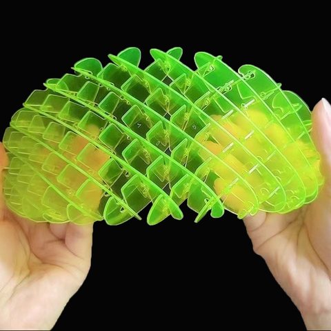 Fidget worm